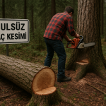 Isparta Senirkent Yassıören Köyü’nde Usulsüz Ağaç Kesimine  Kim İzin Veriyor?